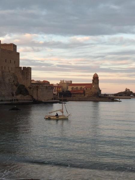 5Demo54 - Appartement Tres Proche Plage Et Toutes Commodites Collioure Eksteriør billede