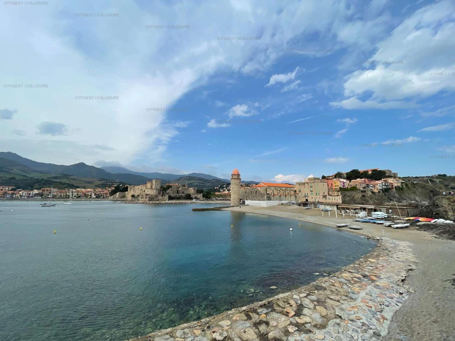 5Demo54 - Appartement Tres Proche Plage Et Toutes Commodites Collioure Eksteriør billede