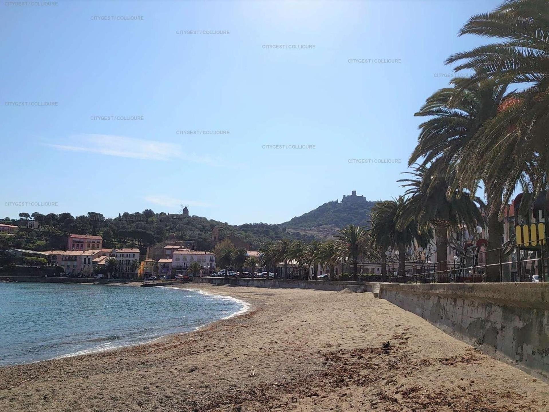 5Demo54 - Appartement Tres Proche Plage Et Toutes Commodites Collioure Eksteriør billede